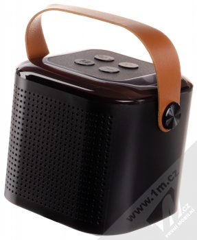 1Mcz WS-Y1 Bluetooth karaoke set mikrofon a reproduktor černá (black) reproduktor